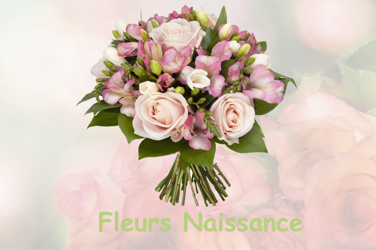 fleurs naissance AUNOU-LE-FAUCON
