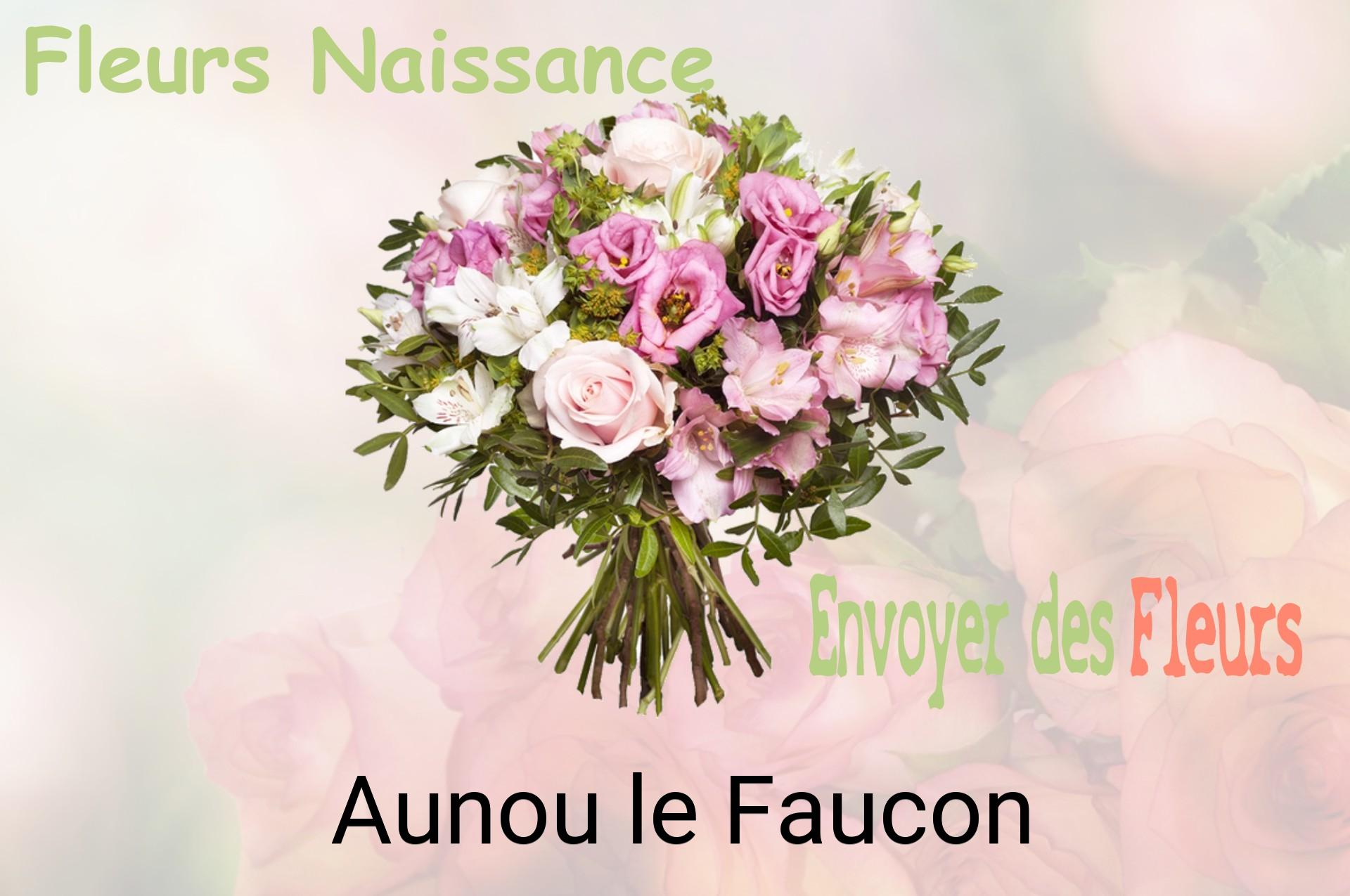Bouquet de fleurs de naissance livré à Aunou-le-Faucon