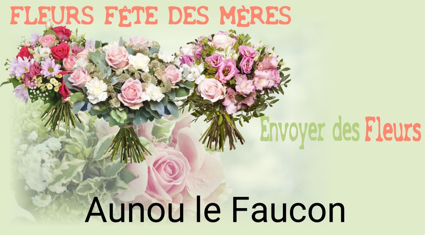 Bouquet de Fête des Mères livré à Aunou-le-Faucon